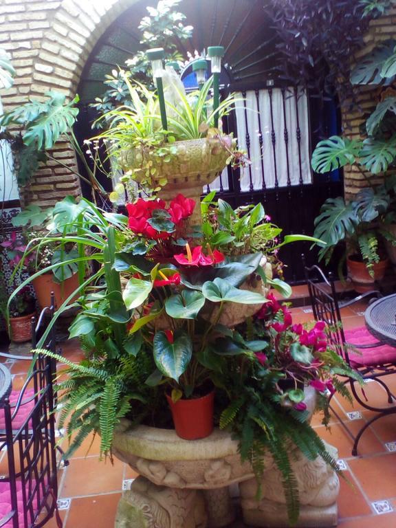 Pension Los Arcos Кордова Екстер'єр фото
