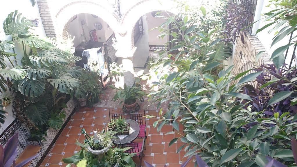 Pension Los Arcos Кордова Екстер'єр фото
