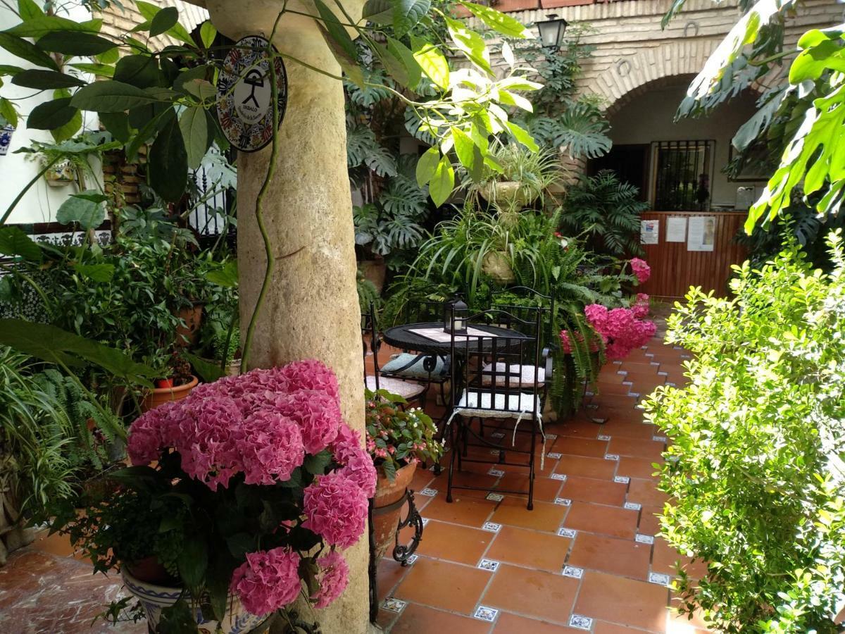 Pension Los Arcos Кордова Екстер'єр фото