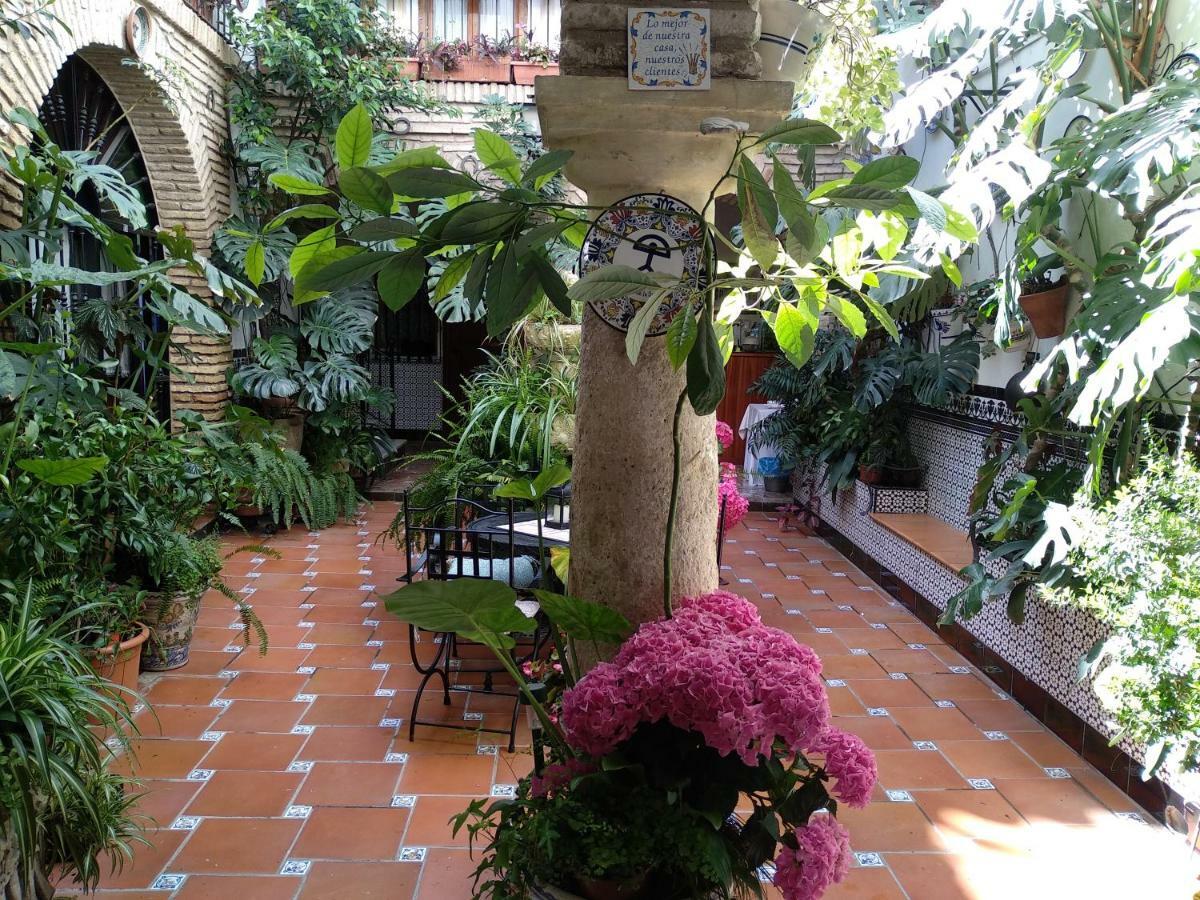 Pension Los Arcos Кордова Екстер'єр фото