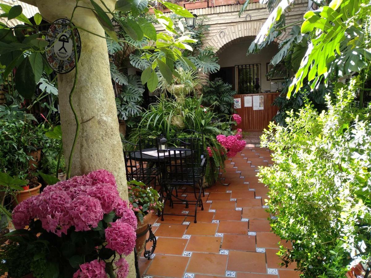 Pension Los Arcos Кордова Екстер'єр фото