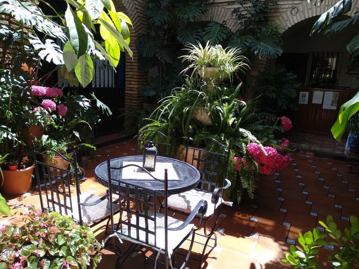Pension Los Arcos Кордова Екстер'єр фото