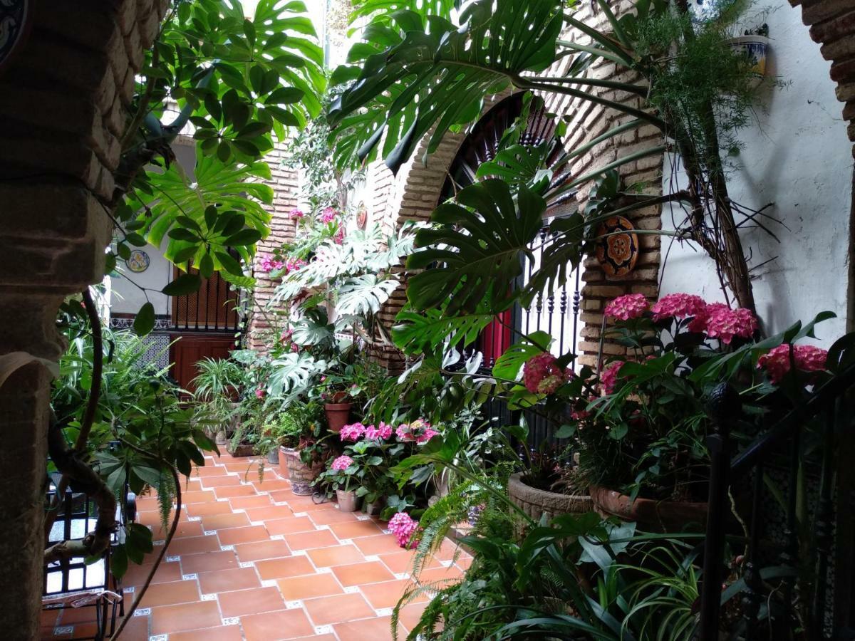 Pension Los Arcos Кордова Екстер'єр фото