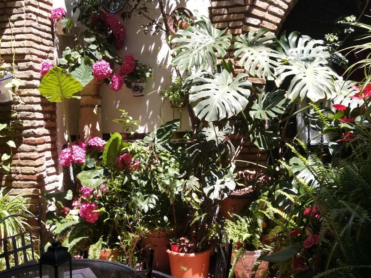Pension Los Arcos Кордова Екстер'єр фото
